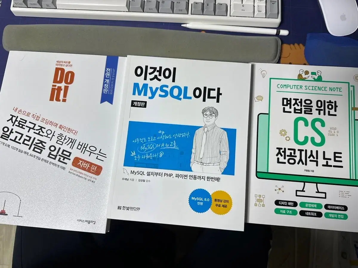 알고리즘 입문, mysql, 전공지식노트